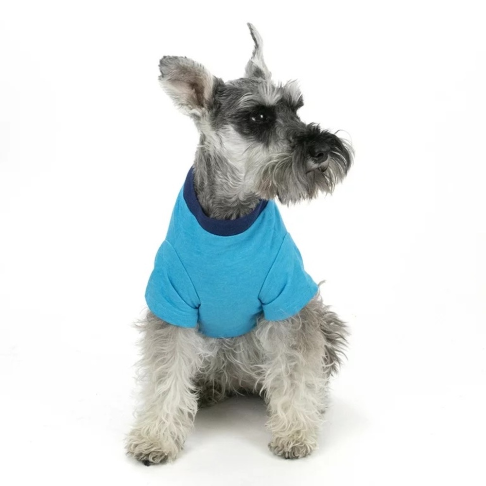 Vibrant Life "Are You Pho Real" Dog Tee, Size Medium - Picture 4 of 6